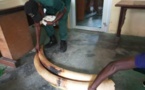 Cameroun/Douala : Trois personnes arrêtées pour trafic d'ivoire