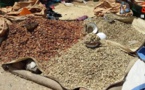 Tchad : la distribution de vivres va débuter demain, environ 2.2 millions de personnes concernées