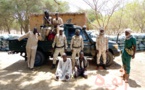 Tchad : au Sila, la garde forestière fait une importante saisie de charbon et bois