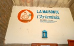 Tchad : face au Covid-19, la pharmacopée se fraye un chemin