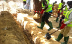 Tchad : à N'Djamena, la STE renforce son réseau de distribution