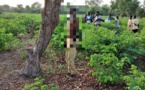 Tchad : des cas de viols et de suicides de plus en plus récurrents