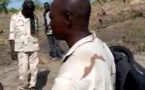 Tchad : dégâts environnementaux dans la réserve de Faune Binder-Léré