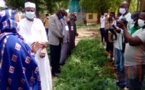 Tchad : l'heure de la récolte pour les jardins potagers du projet AyA