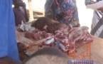 Tchad : les horaires de début d'abattage des animaux fixés à partir de 5 heures