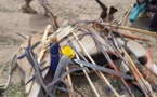 Tchad : deux antilopes chevalines tuées à Kélo, 58 arrestations