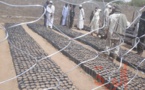 Tchad : en province, une mutualisation d'efforts pour protéger l'environnement