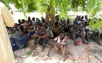 Tchad : antilopes chevalines abattues, 25 libérations sur les 58 arrestations