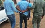 Cameroun/Yaoundé : deux militaires trafiquants fauniques aux arrêts