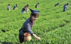 Lucid waters, lush mountains yield economic benefits in rural China