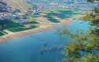 CPPCC member from Henan makes unremitted efforts to improve ecology of Yellow River