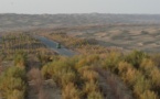 Highway in northwest China's dessert drives economy, lifts environment