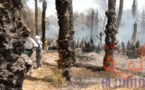 Tchad : un incendie fait des ravages à Faya