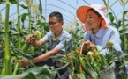 Ecological efforts bring back lush green to Yangtze River bank