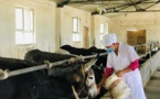 Donkey business helps Xinjiang village get rid of poverty, improve livelihood