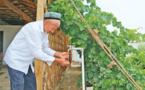 All impoverished households in Xinjiang connected to safe tap supplies
