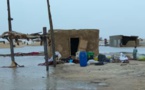 Tchad : à Kouba Olangua, des intempéries font d'importants dégâts