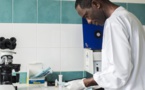 Angola : un million de dollars pour deux projets de recherche sur le Covid-19