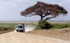 L’Afrique de l’Est demeure la région la plus dynamique du continent malgré le Covid-19