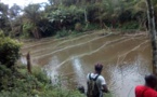 Cameroun /Evénement : Endinding fête le poisson et le vin de palme