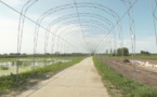 Village in NE China’s Heilongjiang shakes off poverty by developing characteristic industries