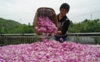 China’s success in eradicating poverty offers valuable lessons to the world