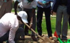 Tchad : planter des arbres pour protéger l'environnement, un autre défi de l'heure