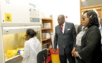 Cameroun/Covid-19 : Blocages sur la fabrication de la chloroquine et la gentamicine