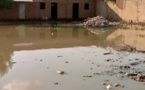 ​Tchad : à N'Djamena, les habitants de Zafaye abandonnés à leur triste sort