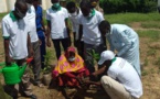 Tchad : Green Earth a planté plus de 3000 arbres en deux semaines à N'Djamena