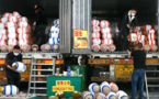 Cross-border e-commerce helps speed economic recovery in Southeast Asia