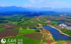 County in S China’s Hainan shakes off poverty by developing ecological industry