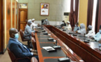 Tchad : 9000 cas de Chikungunya, le gouvernement annonce un plan de contingence
