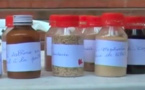 Le Tchad veut développer des phytomédicaments à travers une unité de recherche