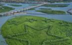 China to have 18,800 hectares of mangrove forests by 2025: action plan