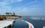 Ecological restoration helps Tianjin's Qilihai Wetland regain vitality