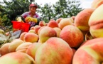 China creates poverty-alleviation miracle in human history