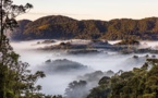 Rwanda : un accord pour la protection à long terme du parc national de Nyungwe