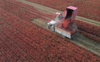 Xinjiang to promote high-quality development for improving livelihood