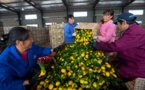 China achieves remarkable progress in livelihood improvement