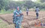 Tchad : Le Aya Boot Camp aura bien lieu en novembre prochain