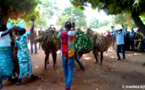Tchad : la 6ème édition de la fête de la récolte célébrée à Ngorkosso