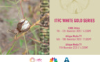 "White Gold Serie", le documentaire sur le secteur du coton en Afrique de l'Ouest