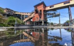 Beijing turns coal mines into forests to lift urban environment