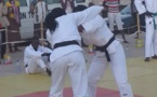 Sport : 8 judokas vont représenter le Tchad au championnat d'Afrique