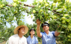 China continues to contribute to global intellectual property development