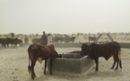 Sahel et bassin du lac Tchad : la BAD soutient la sécurité alimentaire pour prévenir l'aggravation sécuritaire