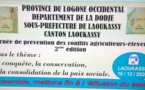 Tchad : une journée de prévention des conflits agriculteurs-éleveurs à Laoukassy