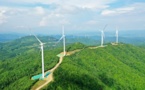 BRI to call for greener business practices
