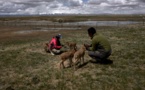 China strives to advance ecological civilization with world